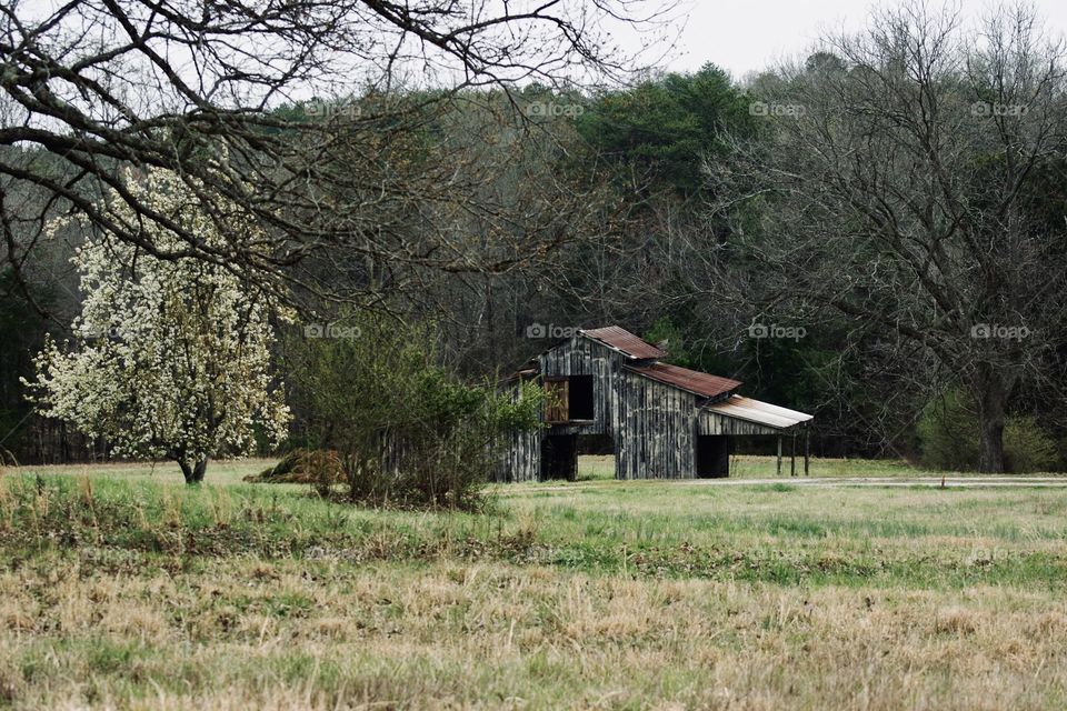 Farm in South Carolina with rustic white washed barn and tin roof that was all built by hand over 80yrs ago.