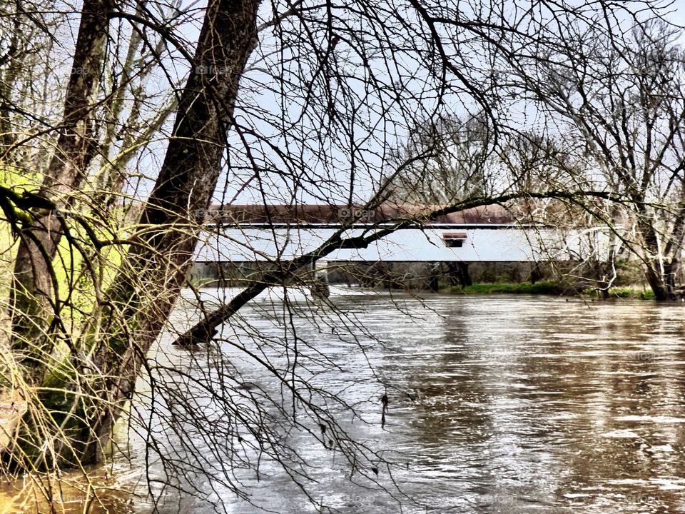 Spring view of the covered bridge 