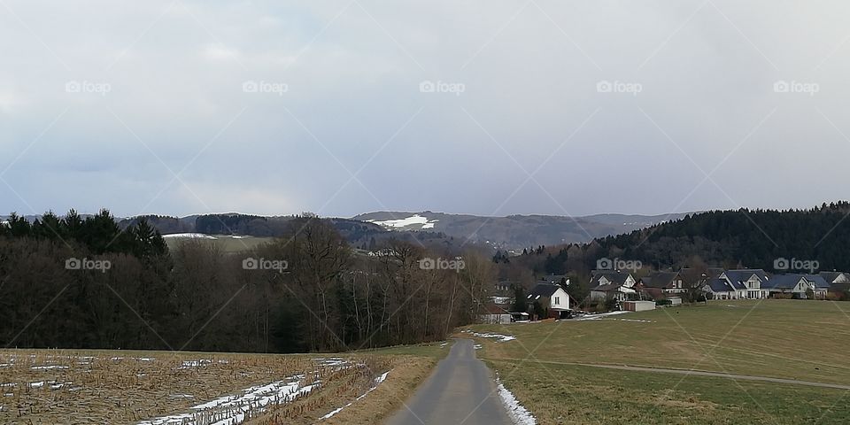 Landscape, Snow, Tree, Road, Travel