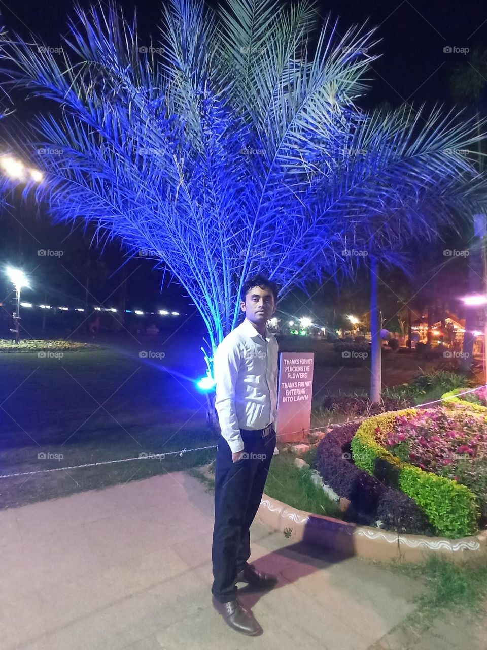 dates tree with me night green light on dates tree