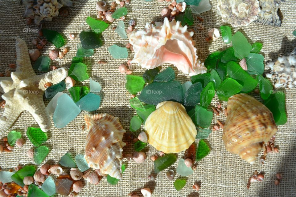 Seashell, Shell, Desktop, Nature, Starfish