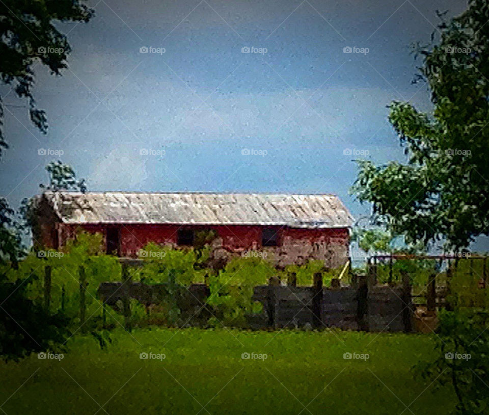 Old dairy barn Selah Ranch, Mexia, Tx