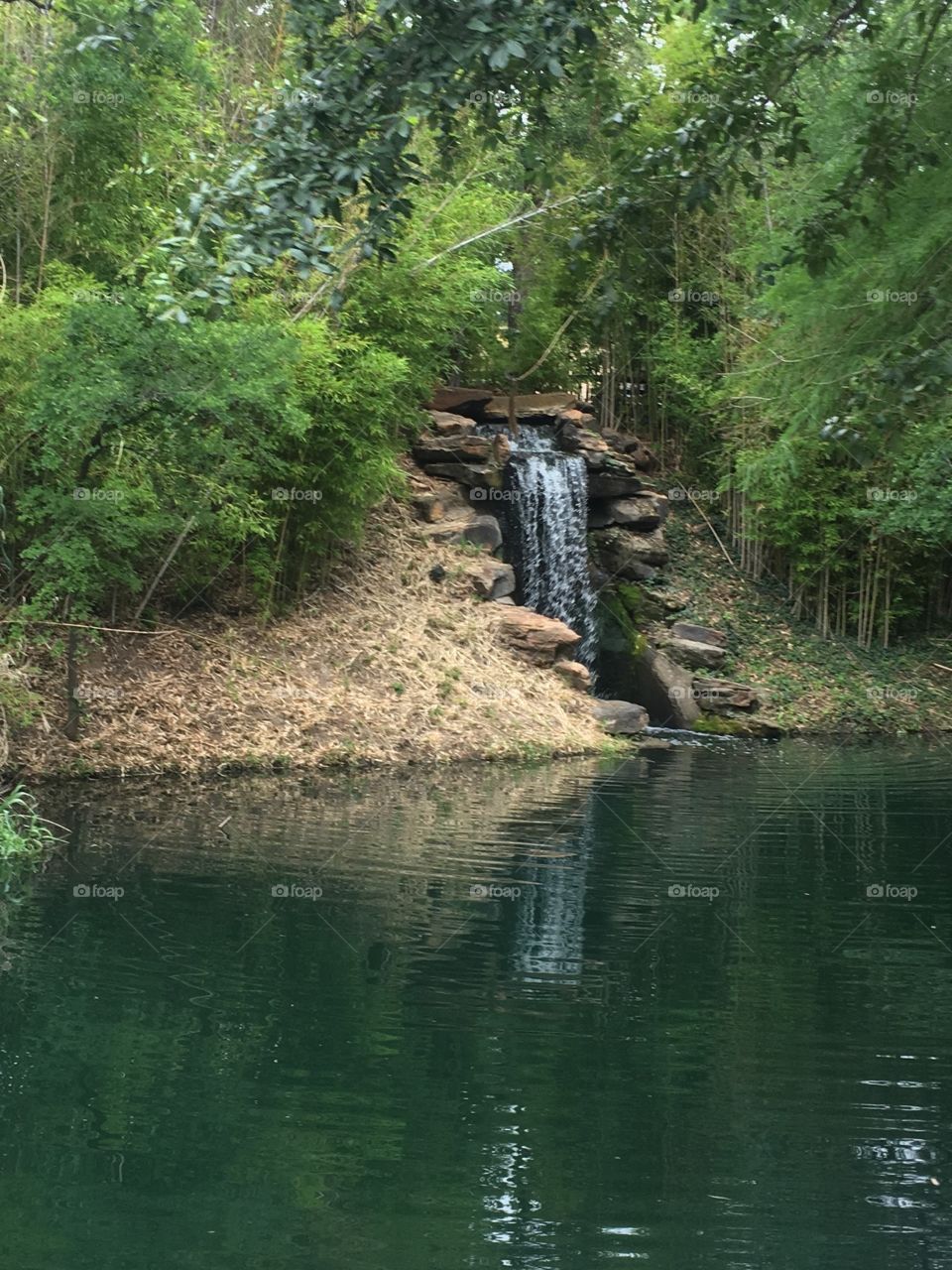 Summer waterfall in Texas 