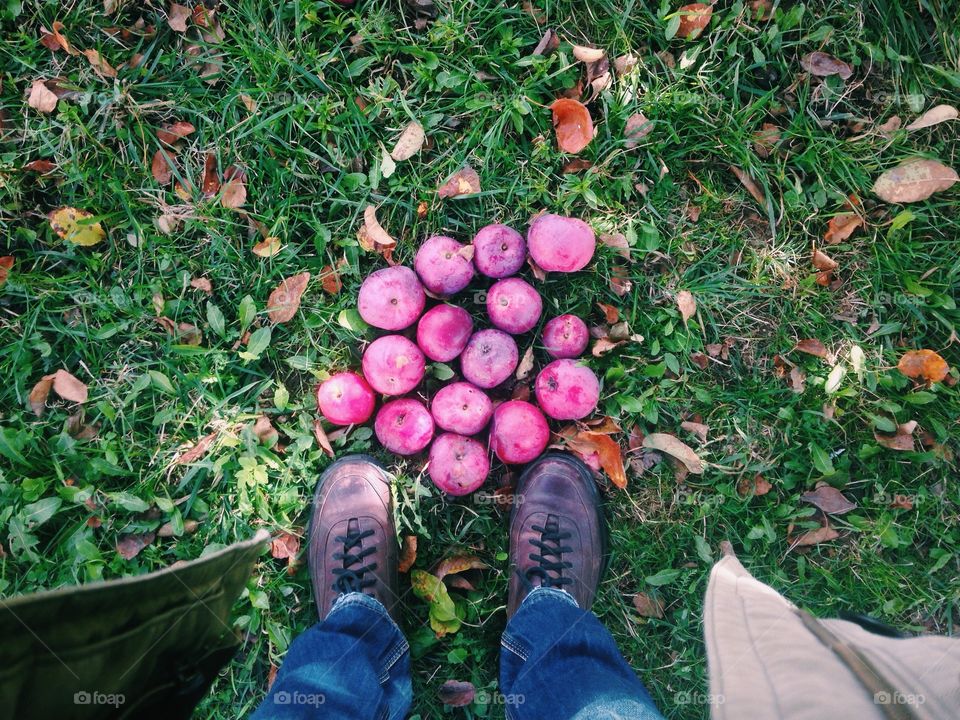 Red apples on grass