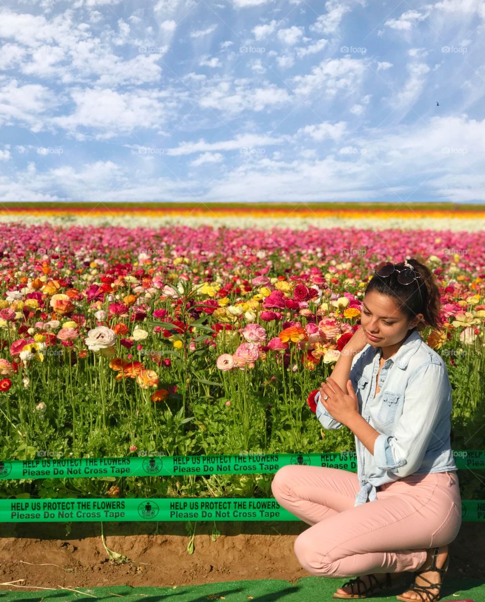 Flower fields