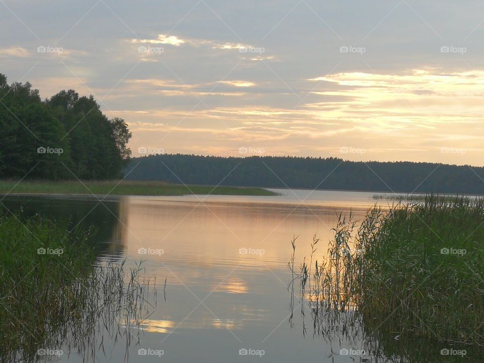 Lake in the evening