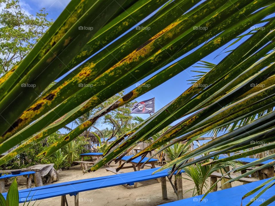 a secret restaurant on the beaches of the Dominican Republic