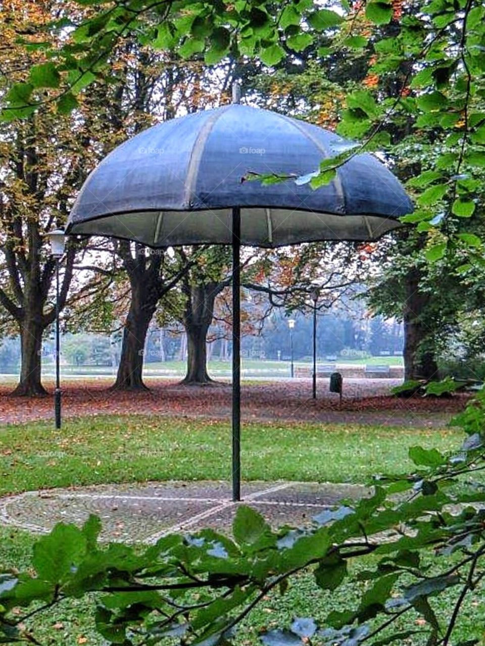 Umbrella in the park