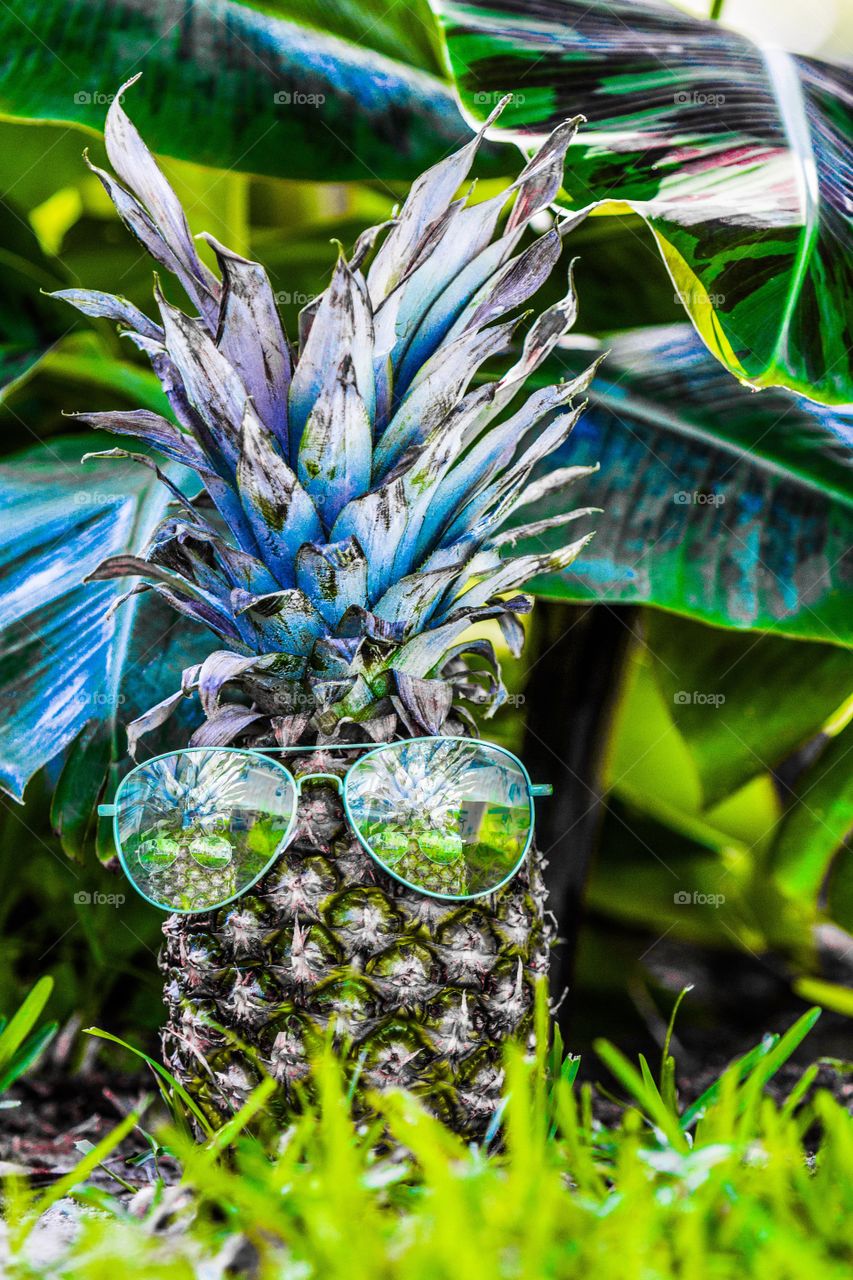 Cool pineapple with sunglasses 