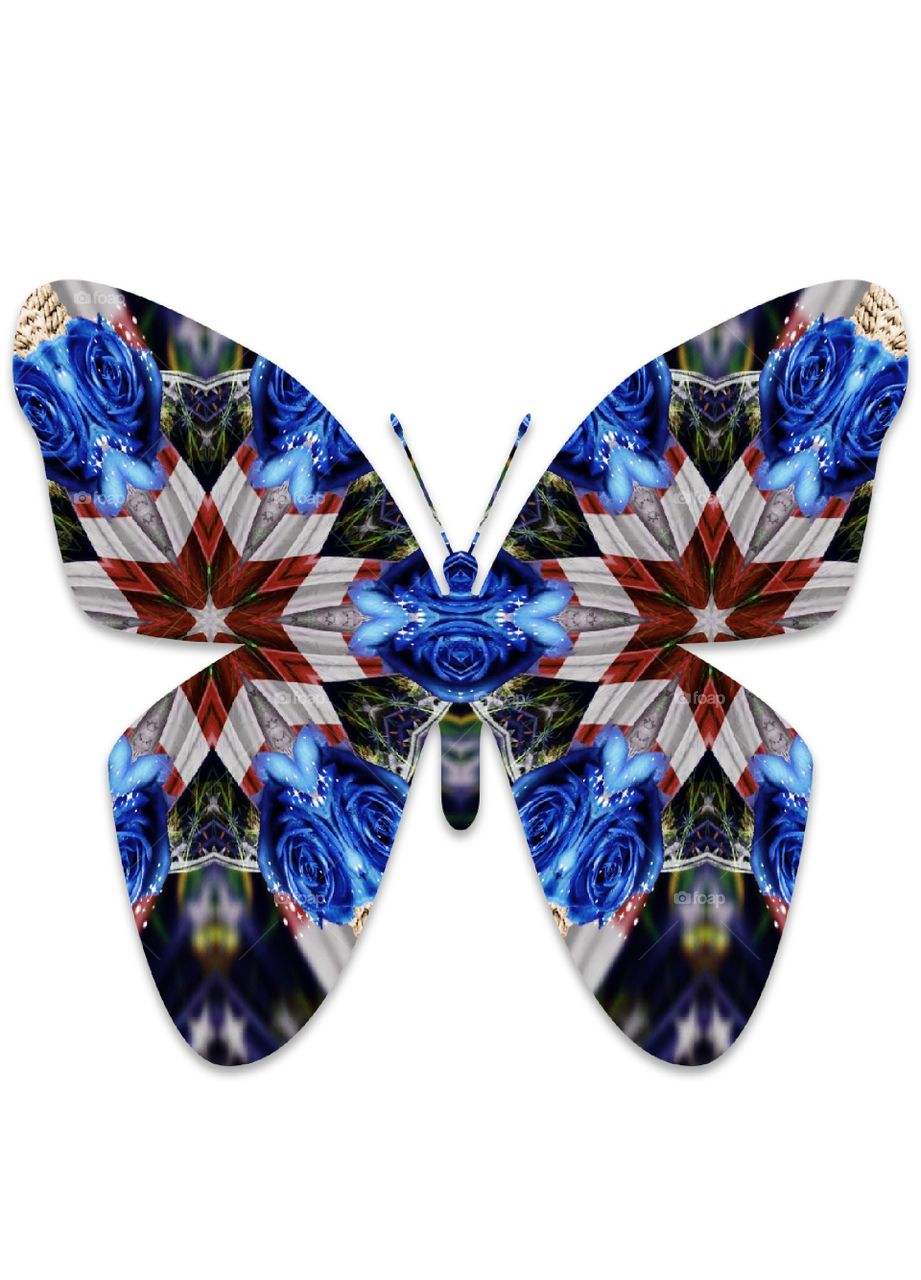 digitally created butterfly,  red white and blue