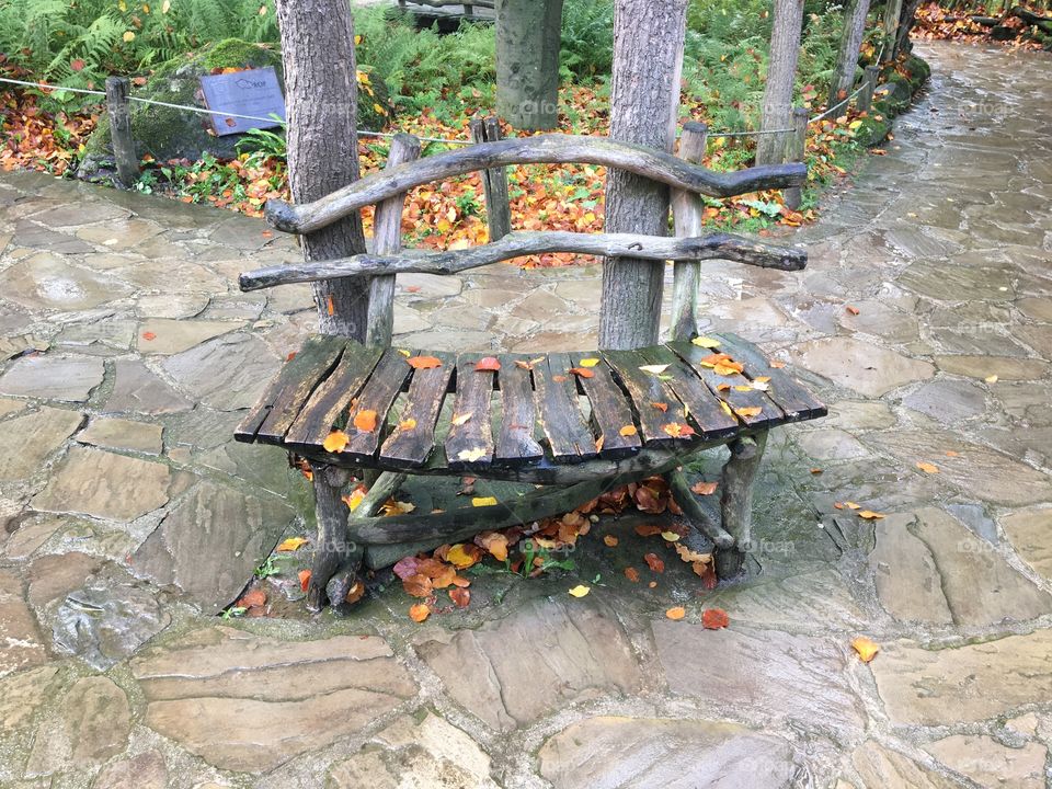 Autumn bench.