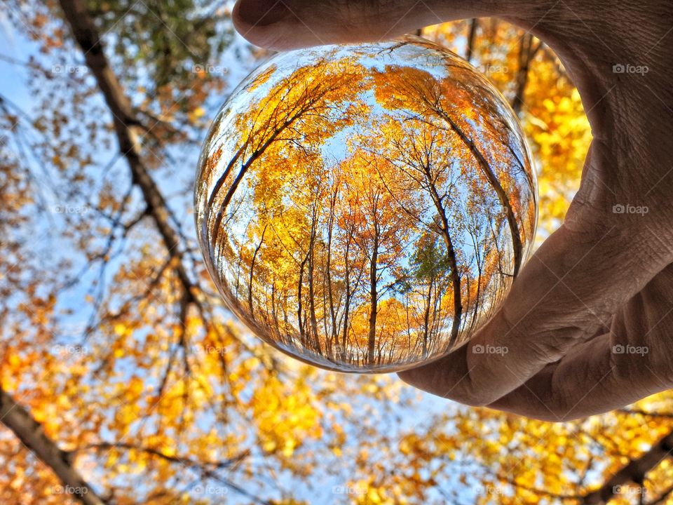 Fall in Indiana through a lens ball on a beautiful day 