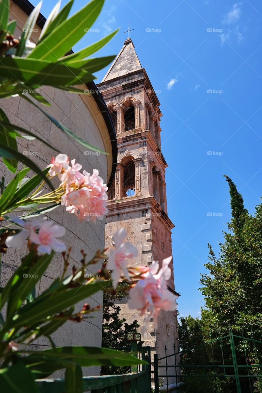 Flowers blooming near the church