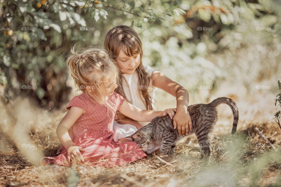 Children playing with kitten in a garden