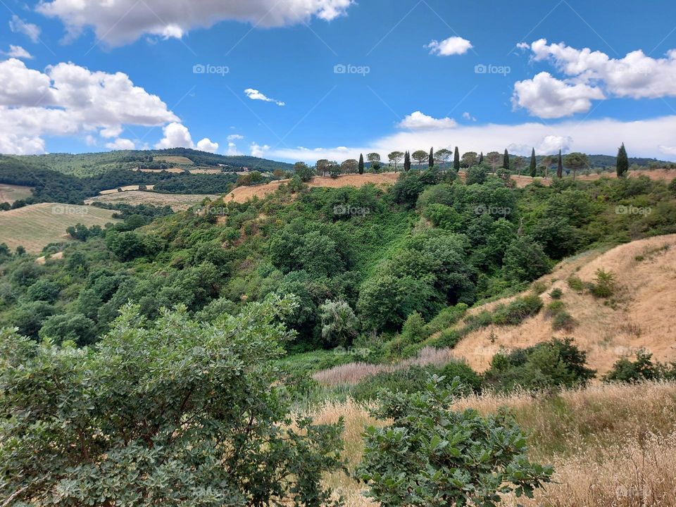 landscape in tuscany, Italy