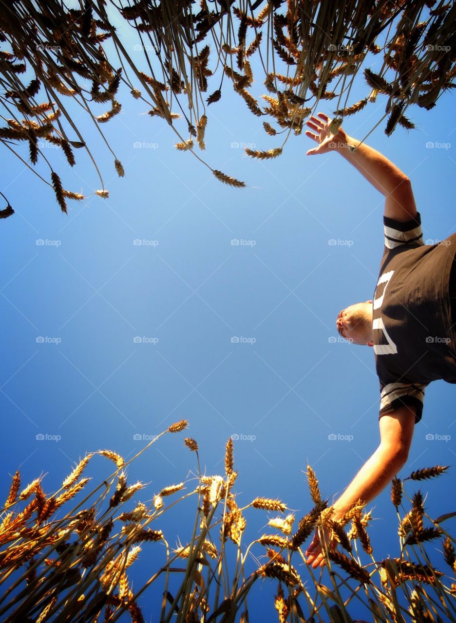 Summer breeze in field