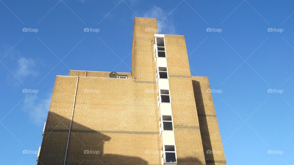 Ready tot admire the pattern