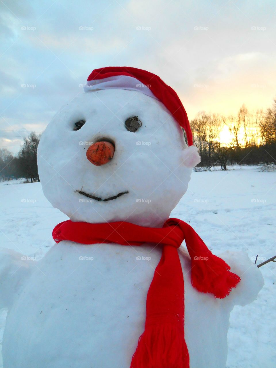 Winter, Snow, Christmas, Snowman, Frost