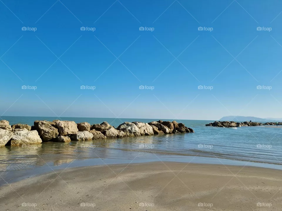 mare
