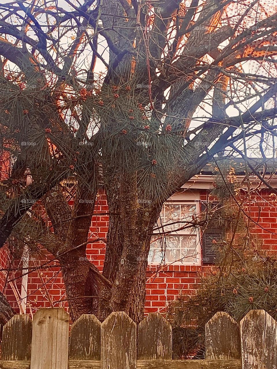 Apartment window