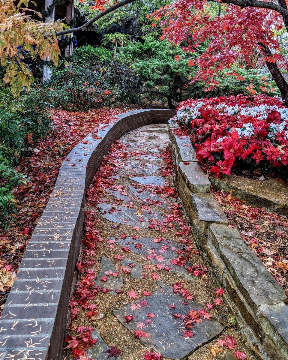 pretty walkway