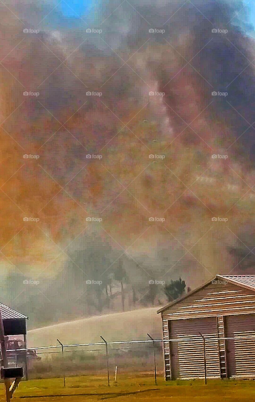 Trees and building on fire