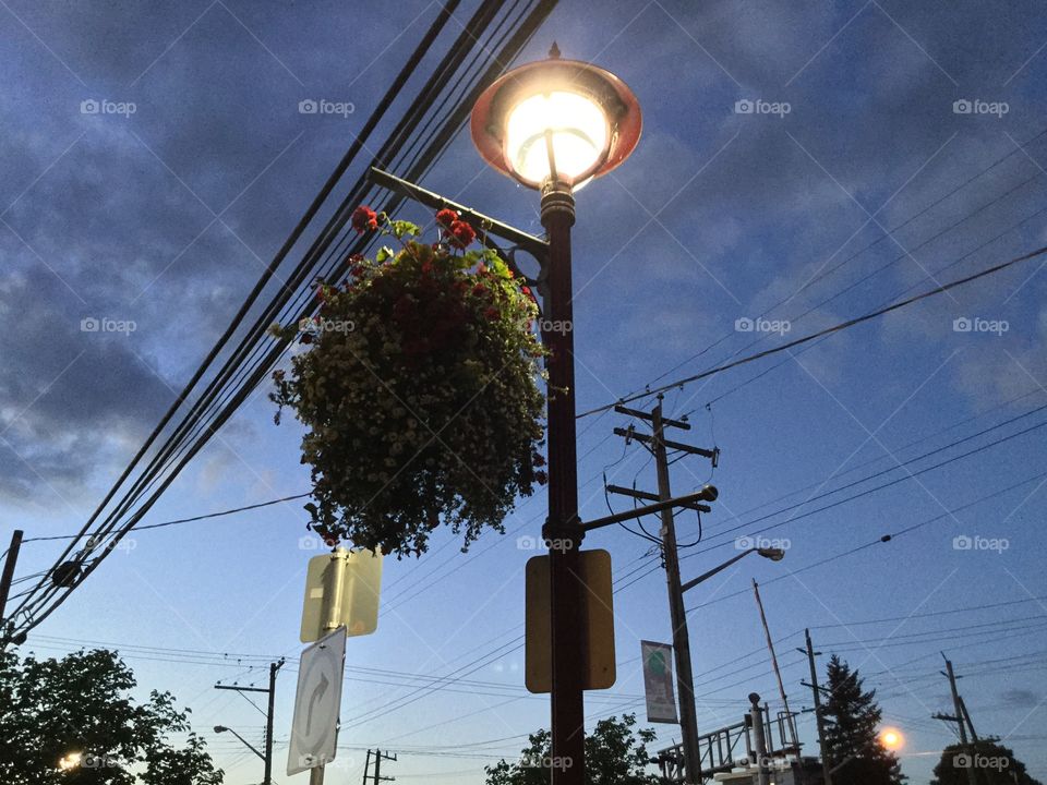 Streetlight at Night 