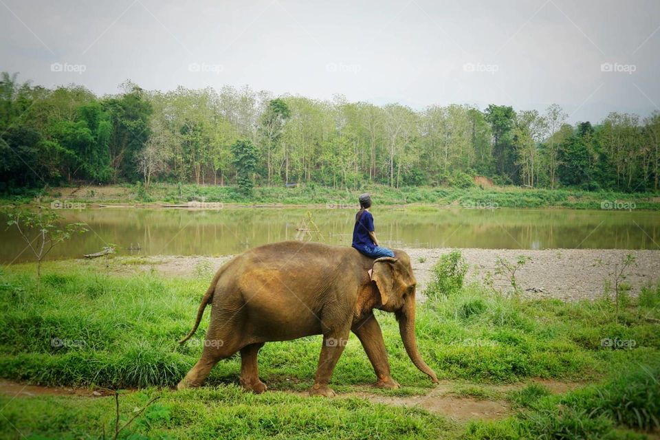 Laos