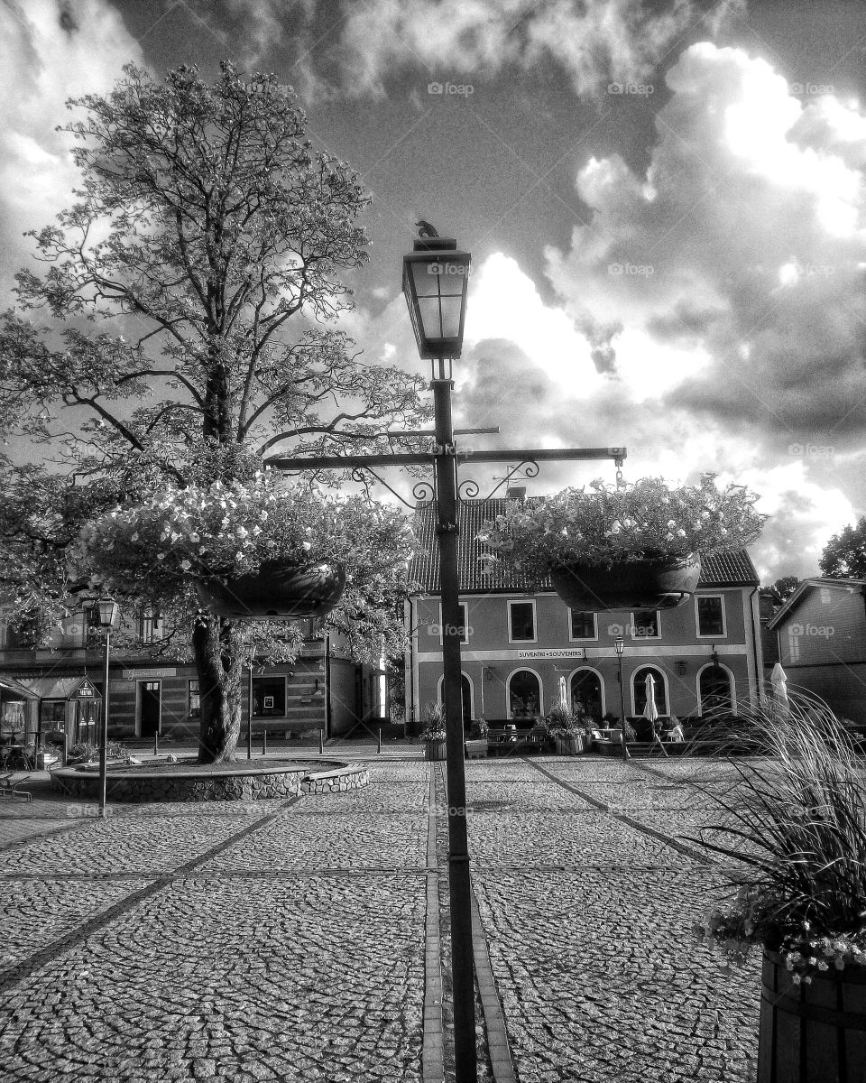 "The most colorful thing in the world is black and white, it contains all colors and at the same time excludes all."
~ Vikrmn, 10 Alone