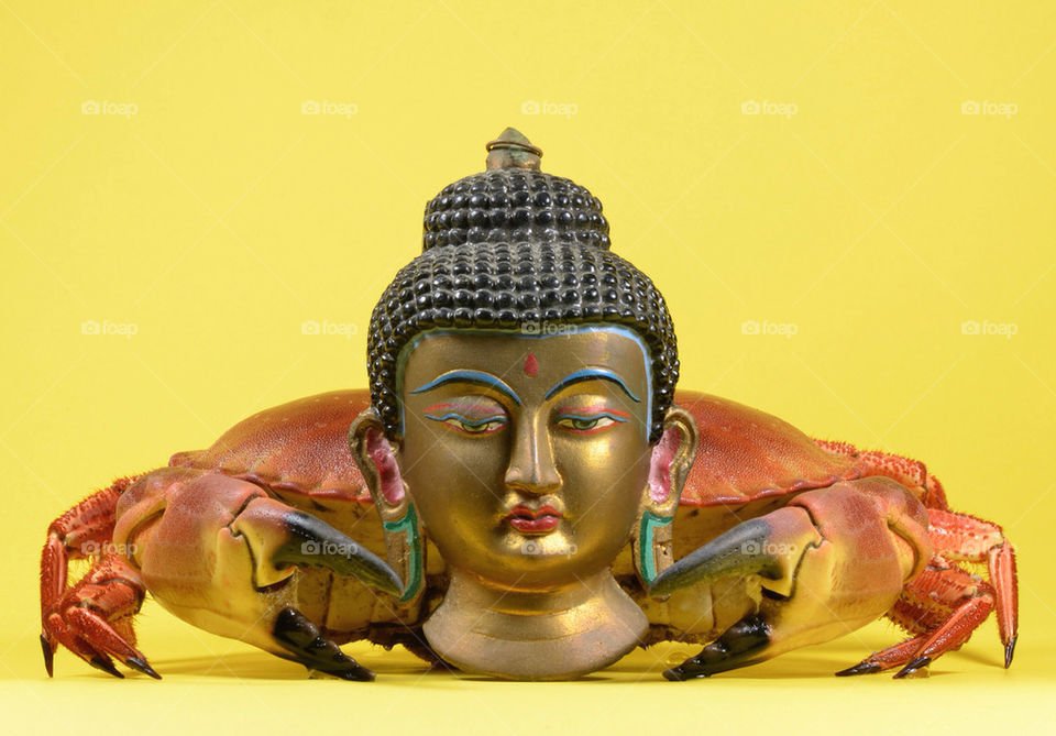 colors buddha crab by albertobaldelli