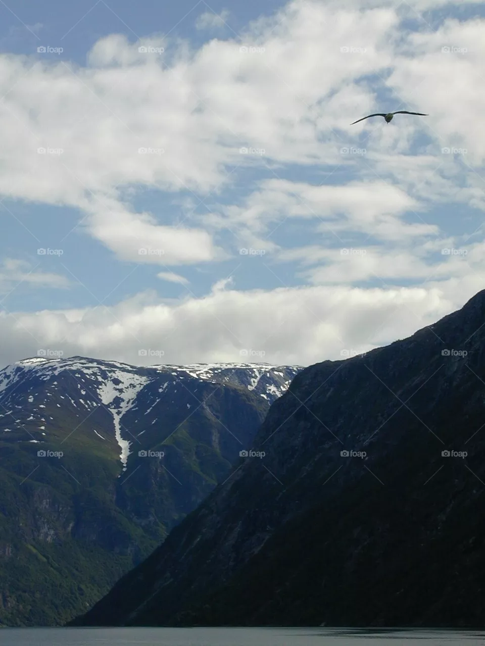 Fjords