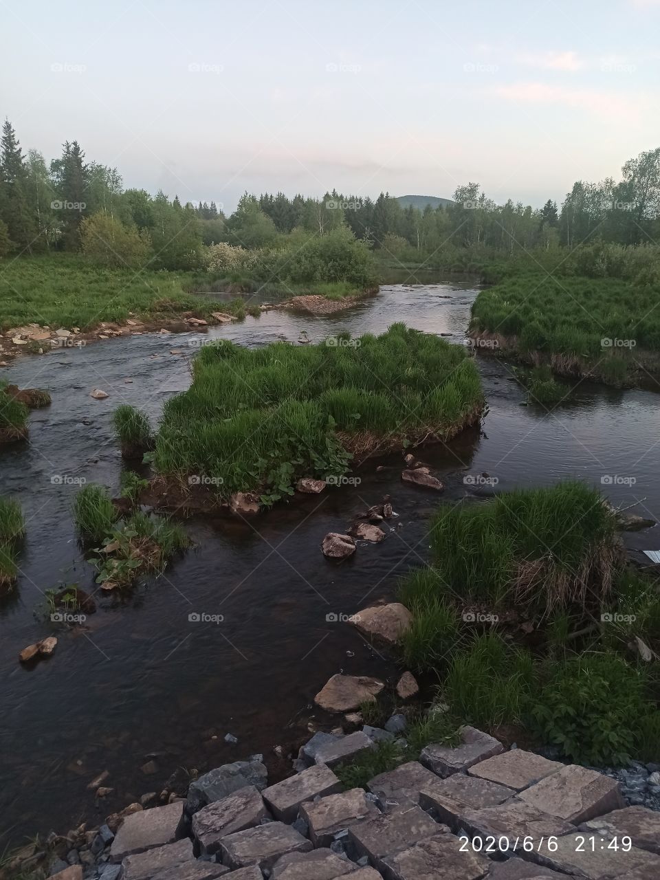 river in the forest