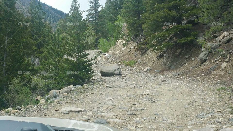 Boulder on the trail.  Was not there before.