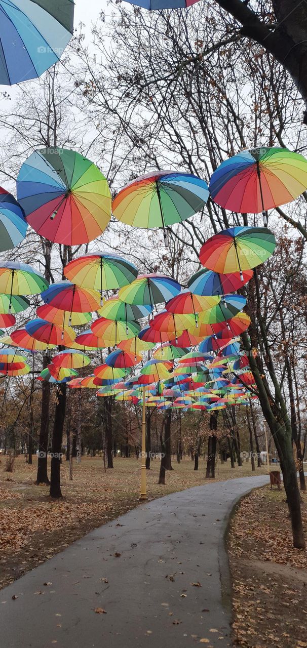 Colourful umbrellas