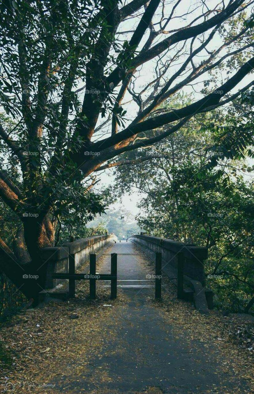 Beautiful Daytime Click