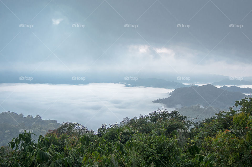 Sea of mist on the mountain.