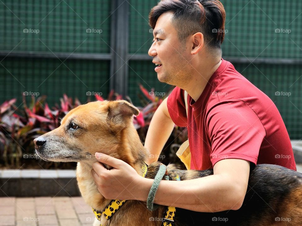 dog walking and happy seeing friends and other dogs coming at Fire Dragon Path Tai Hang Hong Kong