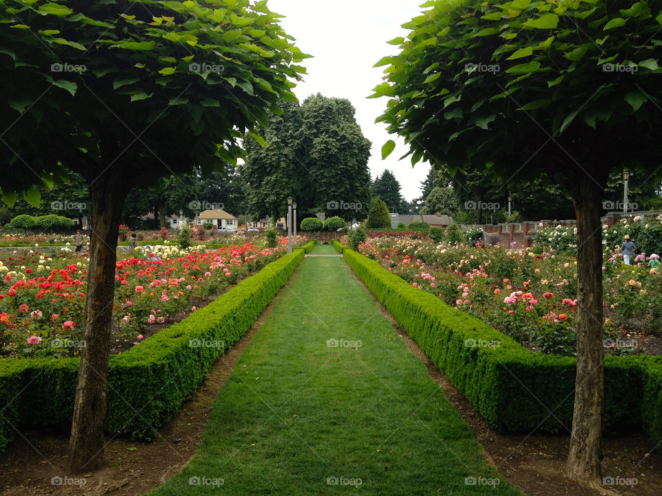 Oregon garden