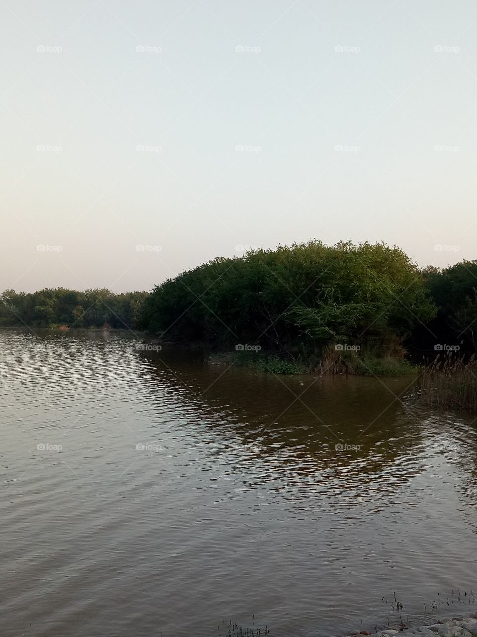 Wetlands in Sukna Lake during morning