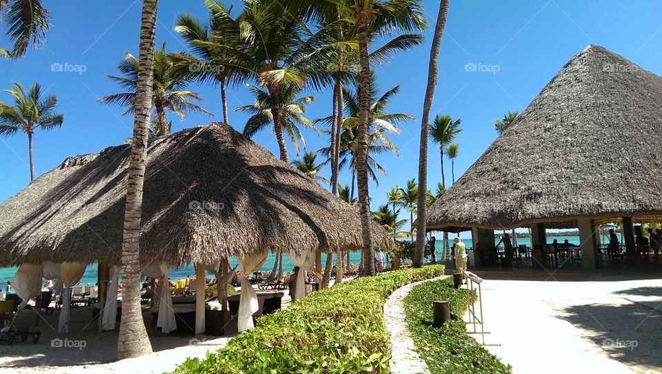Barceló Bávaro Palace Deluxe