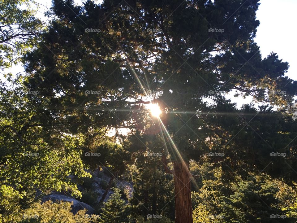 Sunset at Marion Mountain