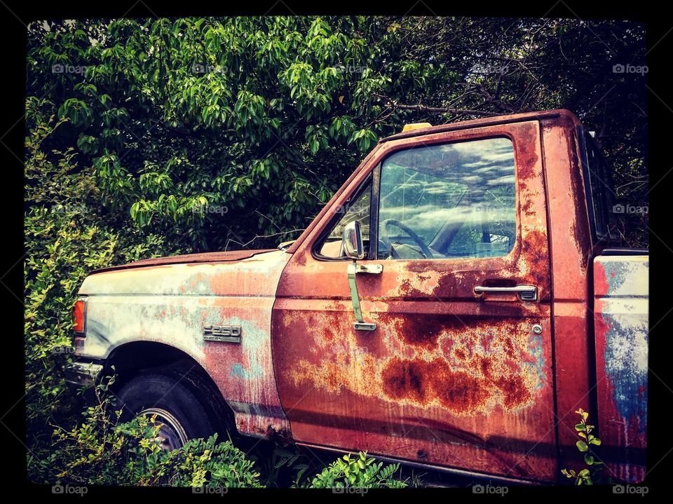 Abandoned Rusted Ford Truck In St. Martin 