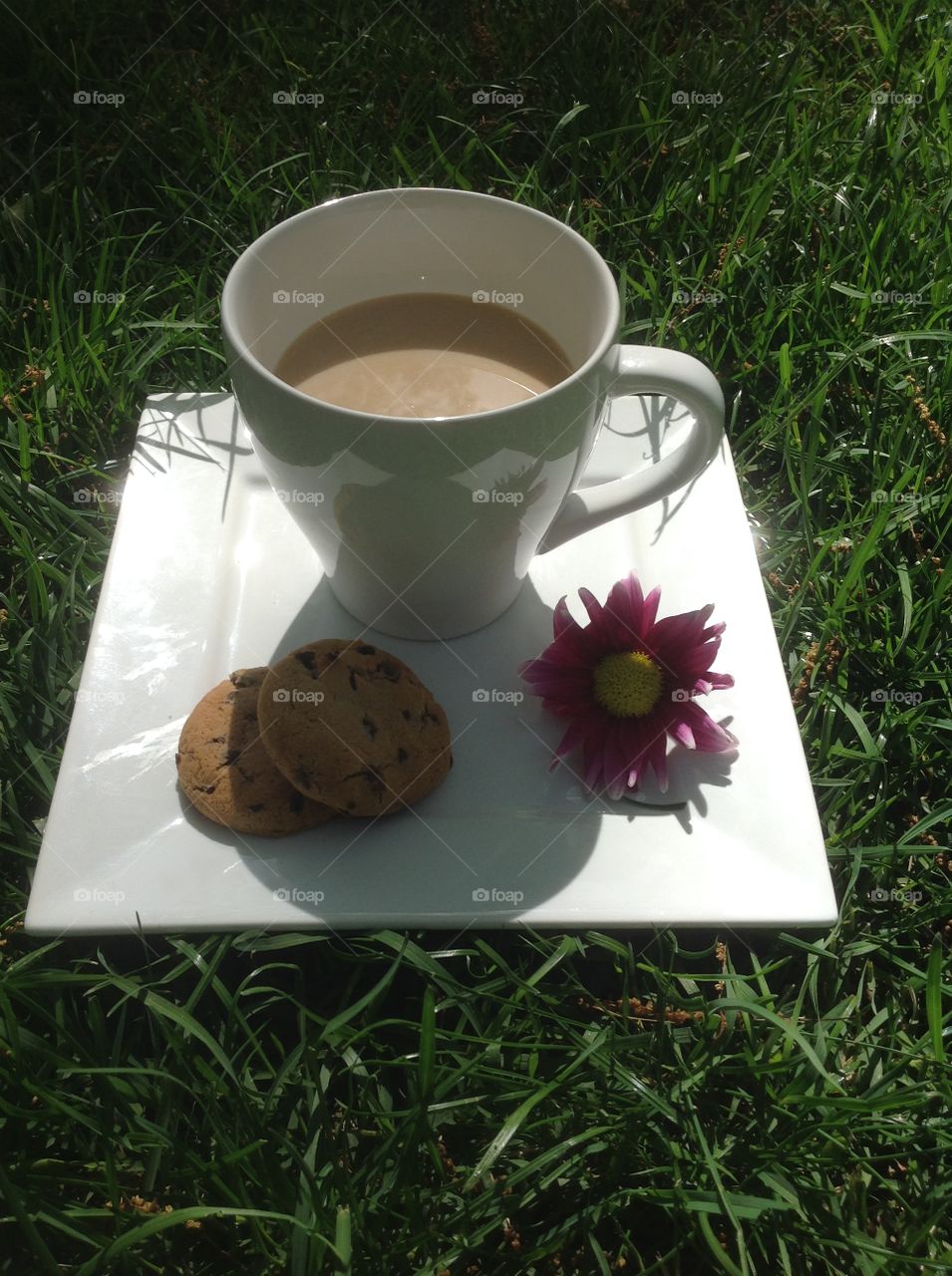 Enjoying a cup of coffee outdoors on a beautiful spring day.