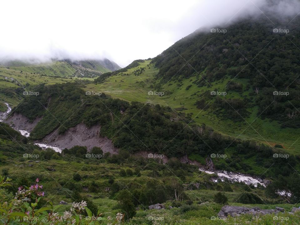 valley of flowers