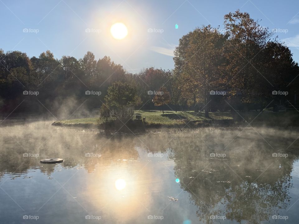 The mist rising from the pond at a local park. Lots of light, some shadows, a touch of green, and the pond looks like it’s on fire. 