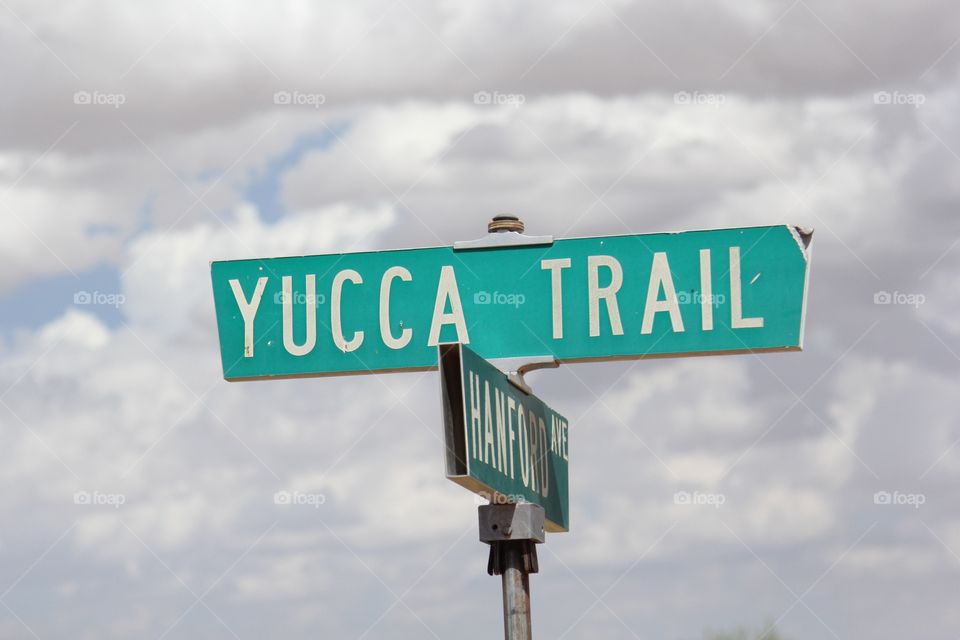 Yucca trail