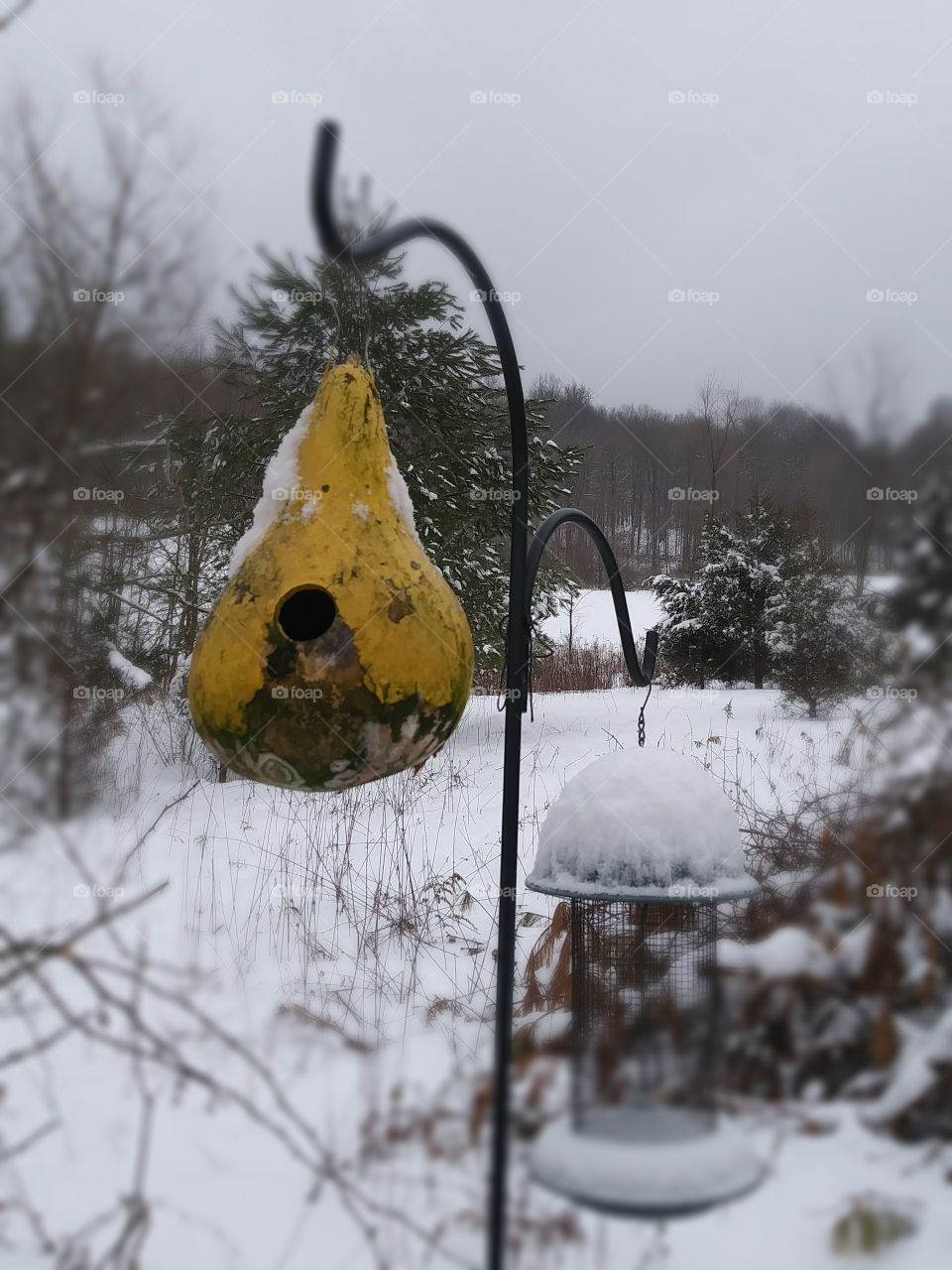 snow on bird feeder in winter.