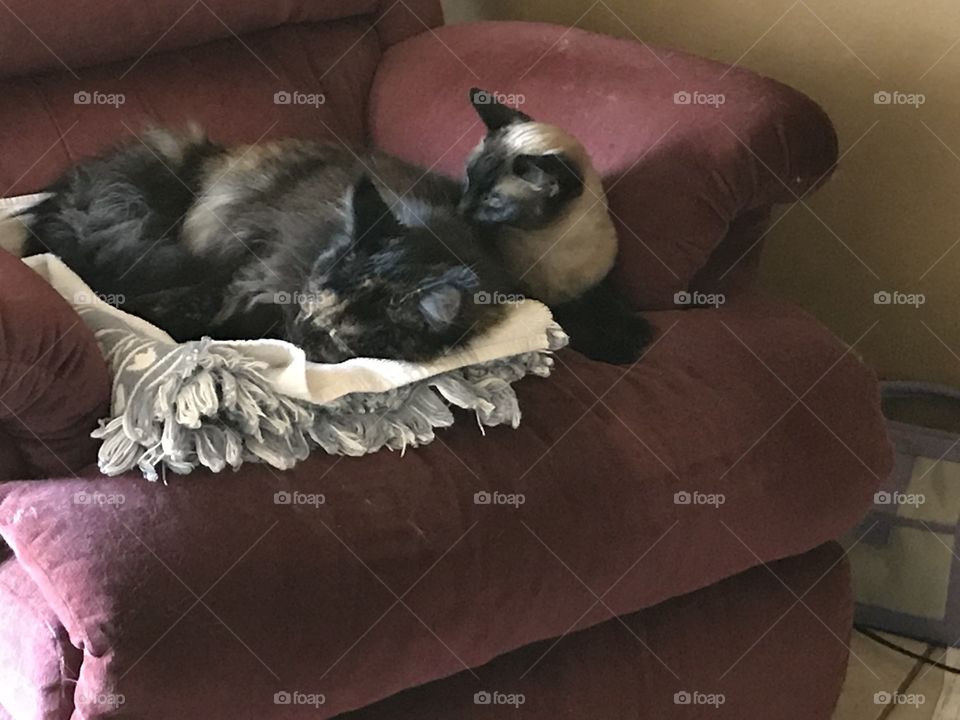 Hey, I need some blanket!