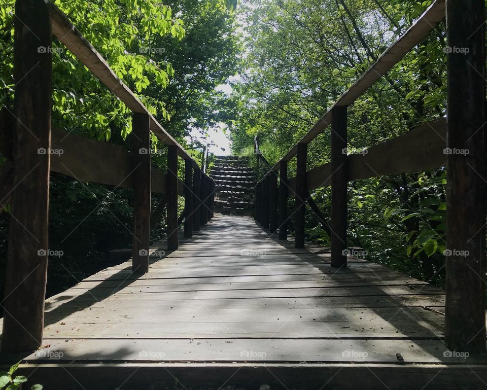 Wooden bridge among the trees