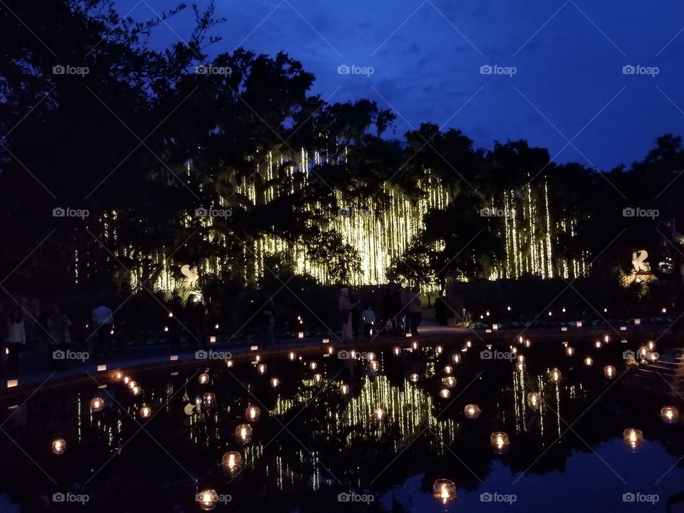 Night of 1000 Candles, you can see the beauty in this picture made greater only by the candles floating on the water.  The reflection shining just as bright. One of my favorite pictures from Brookgreen Gardens.